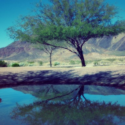 1920 x 1080 HD Wallpapers 1864